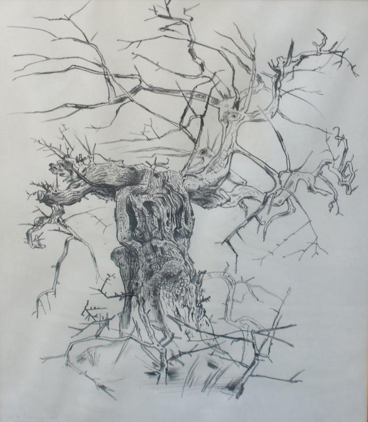 René De Lannoy (1907-1985): Olijfbomen Provence (65 x 81 cm), Antiek en Kunst, Kunst | Litho's en Zeefdrukken, Ophalen