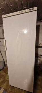 Bosch congélateur colonne 7, Electroménager, Congélateurs, Congélateur