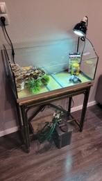 Aquarium Ferplast/Jamaica 80/Alle toebehoren/80x36x41cm/120L, Dieren en Toebehoren, Ophalen, Zo goed als nieuw, Leeg aquarium