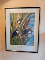 Uniek : originele litho van Eric Peake (Vini Peruvian)