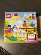 Duplo set 10806 mini manège - paardenstal, Ophalen of Verzenden, Zo goed als nieuw, Complete set, Duplo
