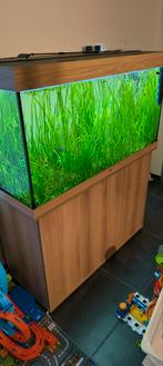 Aquarium Juwel Rio 350, Dieren en Toebehoren, Ophalen, Zo goed als nieuw, Leeg aquarium