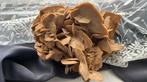 Rose of the sand, heel mooi stuk, Verzamelen, Mineralen en Fossielen, Ophalen of Verzenden, Mineraal