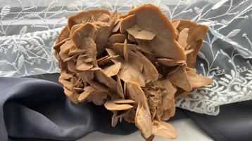 Rose of the sand, heel mooi stuk beschikbaar voor biedingen