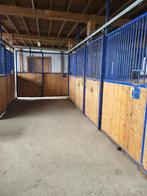 Superstevige paardenbox, Dieren en Toebehoren, Stalling, 4 paarden of pony's of meer