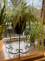 Support pour plantes en métal avec pot, Enlèvement, Comme neuf, Métal