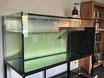 Aquarium voor waterschildpadden, Dieren en Toebehoren, Ophalen, Zo goed als nieuw