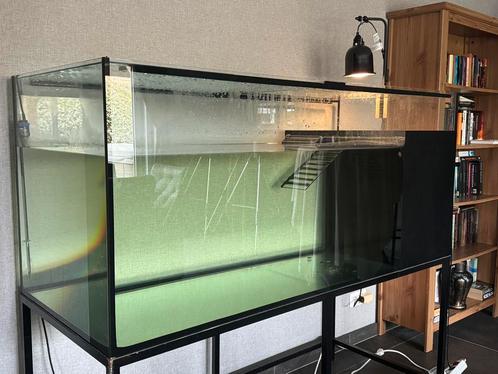 Aquarium voor waterschildpadden, Dieren en Toebehoren, Reptielen en Amfibieën | Toebehoren, Zo goed als nieuw, Ophalen