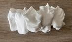 Set van 10 paar nieuwe sokken van 35-38, Kleding | Dames, Sokken en Kousen, Ophalen of Verzenden, Nieuw