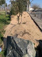 Paillage Myscanthus jardin, massifs floraux, verger, Jardin & Terrasse, Enlèvement, Engrais