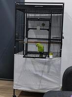 Grande cage oiseau & perroquet & perruche, Animaux & Accessoires, Oiseaux | Cages & Volières, Enlèvement, Utilisé