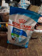 Nourriture pour chien royal canin, Dieren en Toebehoren, Dierenvoeding, Ophalen of Verzenden, Hond