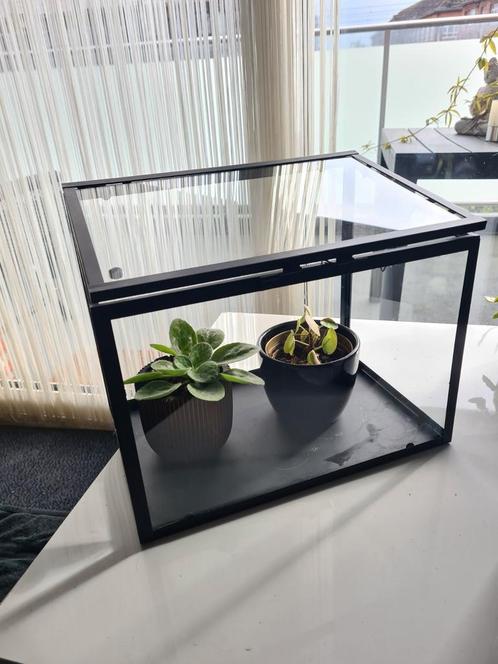 Plantenserre/kweekkas voor stekjes, Tuin en Terras, Kweekspullen, Zo goed als nieuw, Ophalen of Verzenden