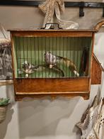 Vogelkooi, Dieren en Toebehoren, Vogels | Hokken en Kooien, Ophalen, Vogelkooi