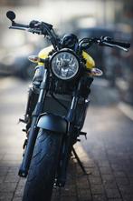 Yamaha XSR 700 Anniversary, Permis Moto A, Plus de 35 kW, 2 cylindres, Particulier