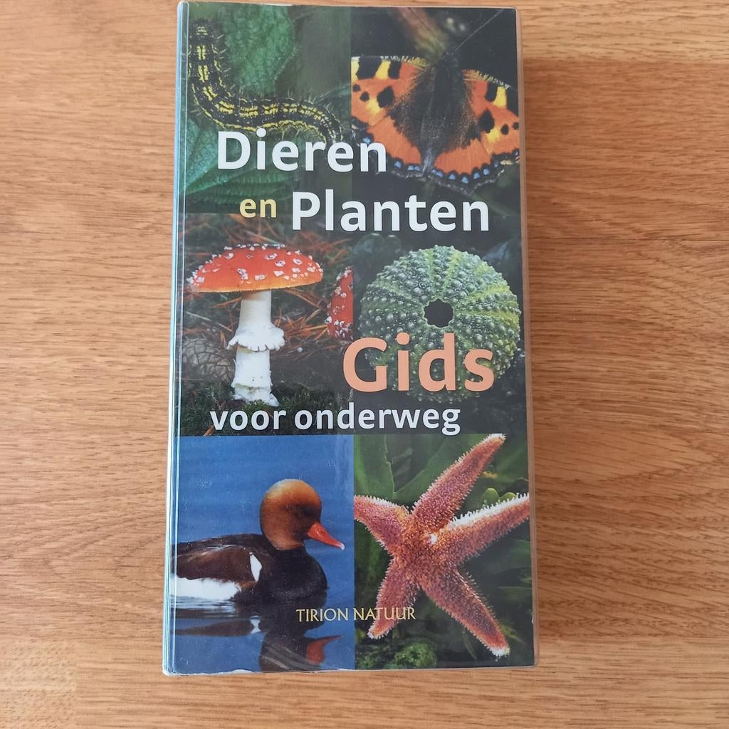 DIEREN EN PLANTENGIDS VOOR ONDERWEG, Livres, Nature, Enlèvement ou Envoi, Oiseaux