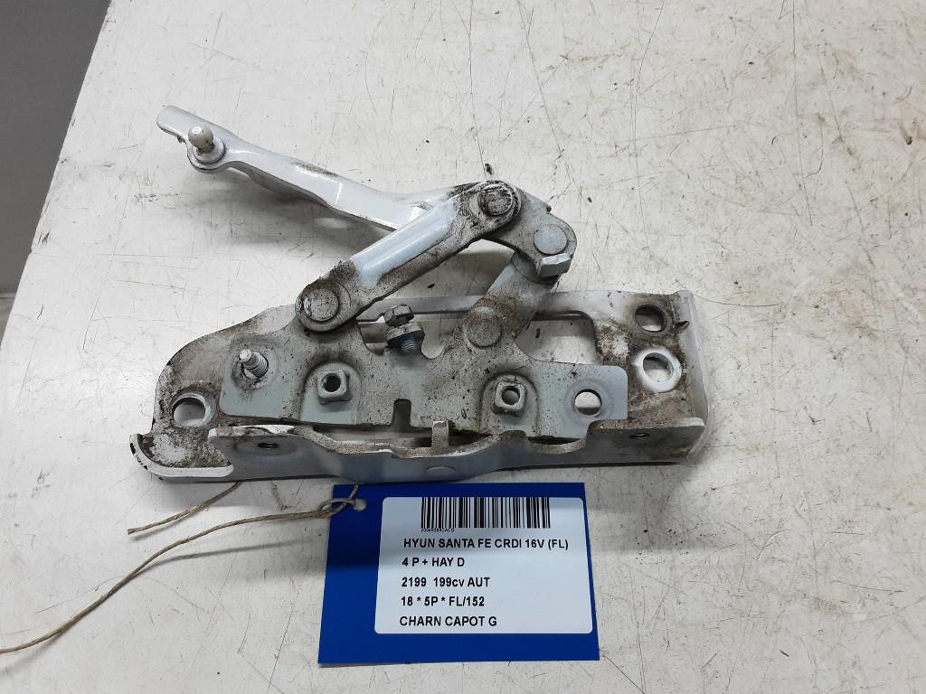 CHARNIERE DE CAPOT GAUCHE Hyundai Santa Fe III (DM), Mevr. I. Hauben, Utilisé, Hyundai, Rue de l'Espoir 34 34
4030  GRIVEGNÉE, BE