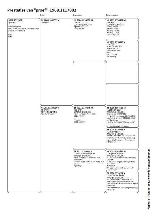 Duivenstamboom postduiven duiven-stamboom-software op USB, Dieren en Toebehoren, Vogels | Duiven, Postduif, Mannelijk