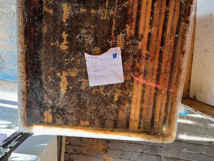 Bijen Carnica Simplex, Dieren en Toebehoren, Insecten en Spinnen, Bijen