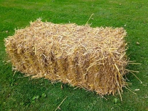 Tarwestro in kleine balen, Zakelijke goederen, Landbouw | Veevoer, Ophalen