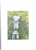 BROUWERIJ RODEA OUDE TROFEE BEKER, Verzenden, Gebruikt, Overige typen