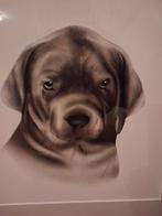 mooi schilderij hond, Antiek en Kunst, Ophalen