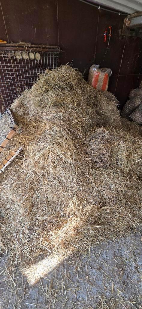 Gratis los hooi af te halen, Dieren en Toebehoren, Dierenvoeding, Ophalen