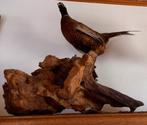 Prachtige FAZANT op mooie houten rotsblok prima staat