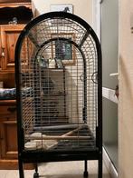 Papegaai kooi, Dieren en Toebehoren, Ophalen, Gebruikt, Vogelkooi