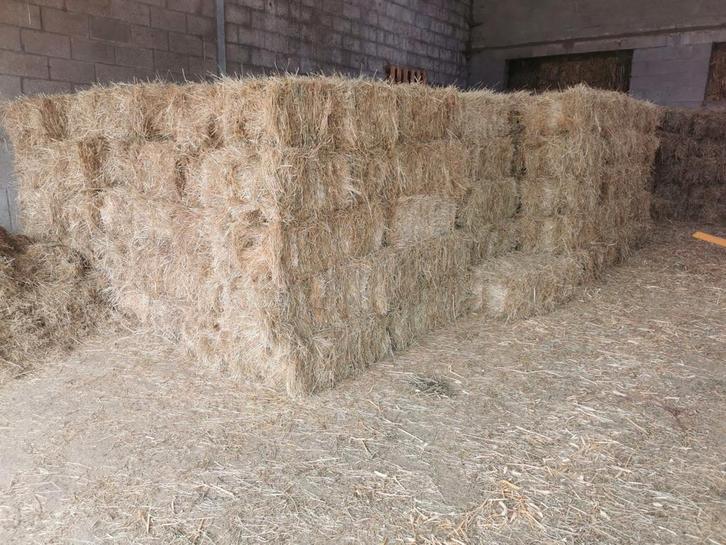 Hooi stro voordroog zie beschrijving 0479110101, Dieren en Toebehoren, Dierenvoeding, Ophalen