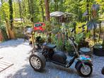 ELEKTRISCHE DRIEWIELER, Fietsen en Brommers, Ophalen, Gebruikt