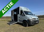 Renault Master THEAULT 2-paards paardenvrachtwagen B-rijbewi, Gebruikt, Info@hulshof-trading.nl, Overige typen, Hulshof-Trading