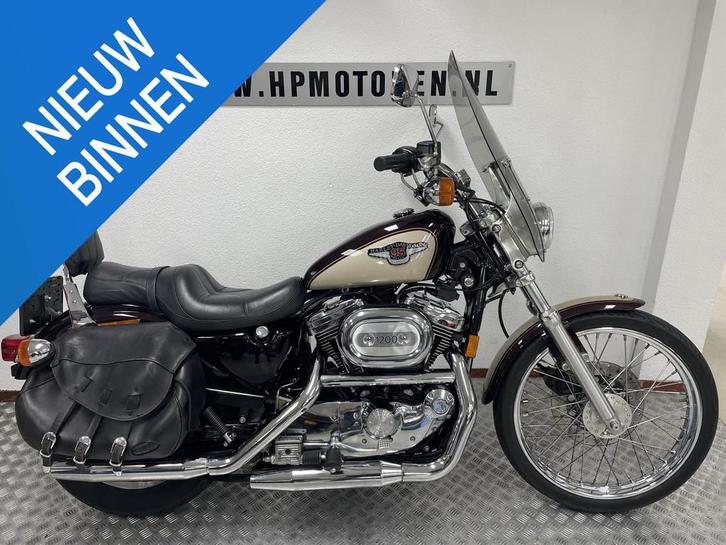 Harley Davidson XLH 1200 C CUSTOM SPORTSTER 95 YEARS ANNIVER, Motoren, Motoren | Harley-Davidson, Chopper, meer dan 35 kW