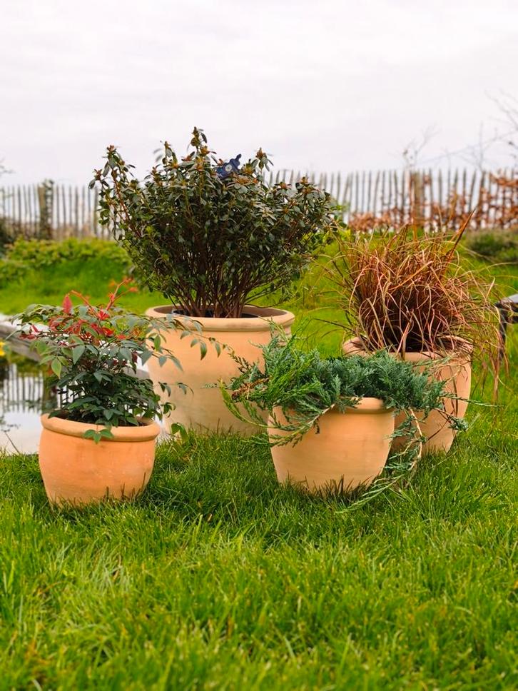 Nieuwe terracotta bloempotten set – 4 stuks, Tuin en Terras, Bloempotten, Terracotta, Balkon, Tuin, Ophalen