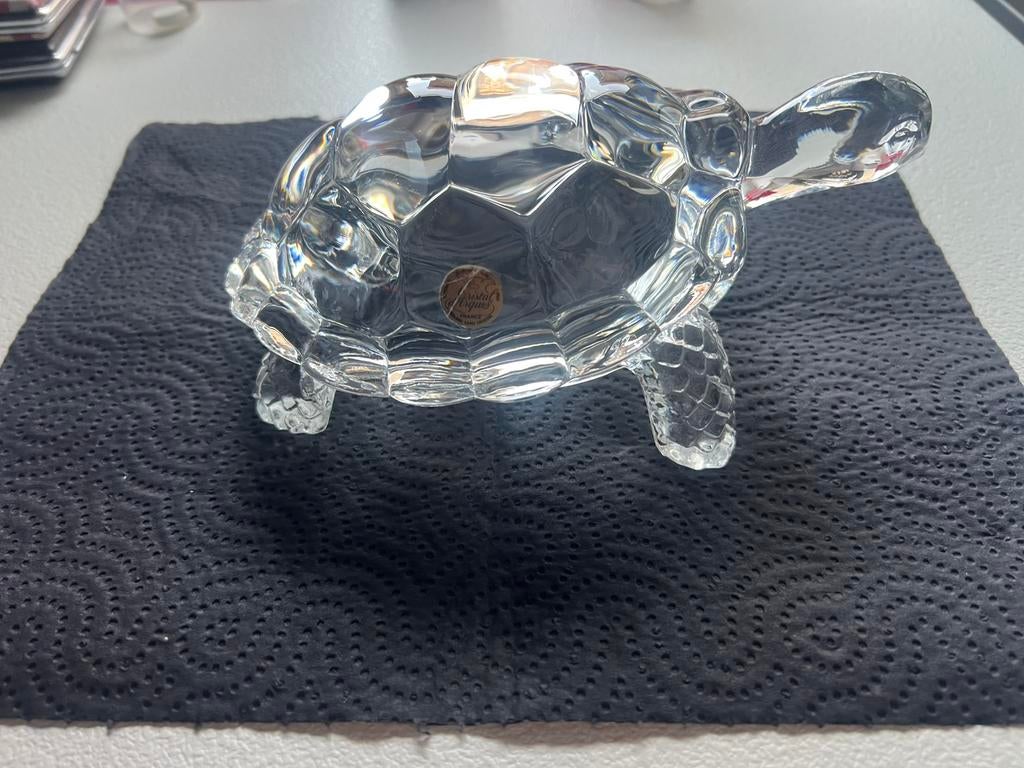 Cristallen schilpad, Ophalen of Verzenden