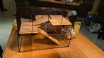 Cage Hamster, Moins de 60 cm, Cage, Utilisé, Hamster