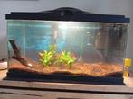Gratis aquarium 60 liter met toebehoren, Dieren en Toebehoren, Reptielen en Amfibieën | Toebehoren, Ophalen