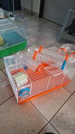 Cages pour hamsters, Enlèvement, Hamster