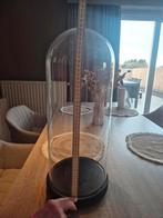 Grote glazen stolp, Huis en Inrichting, Woonaccessoires | Stolpen, Ophalen, Zo goed als nieuw