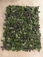 Planten muurdecoratie, Ophalen, Zo goed als nieuw, Binnen