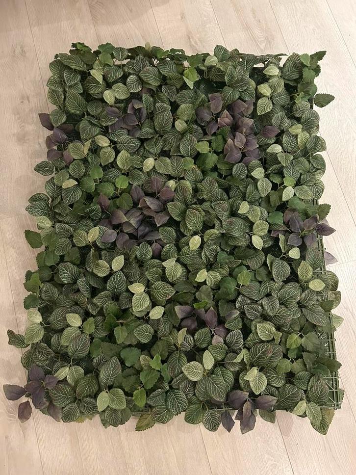 Décoration murale végétale, Maison & Meubles, Accessoires pour la Maison | Plantes & Fleurs artificielles, Comme neuf, Intérieur