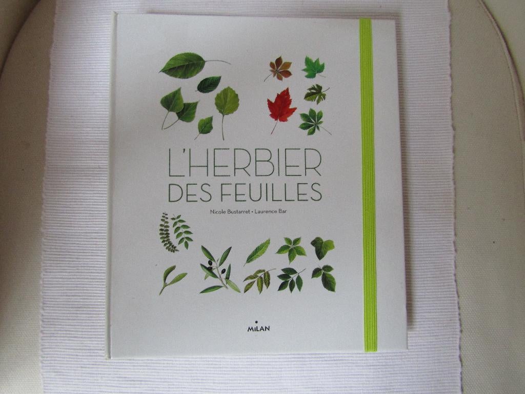 A découvrir "Herbier des feuilles" à faire soi-même, Neuf, Enlèvement ou Envoi, Nicole Bustarret, Sciences naturelles