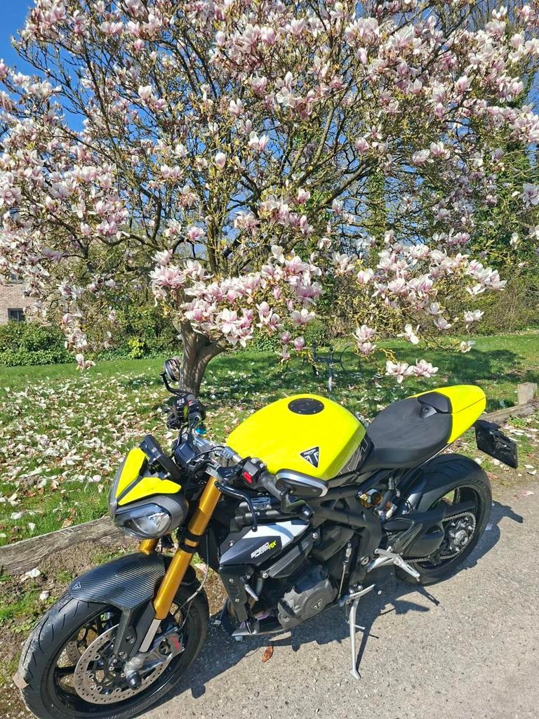 Triumph Speed Triple 1200 RX + 15 mois Garantie Triumph, Motos, Motos | Triumph, Particulier, Sport, plus de 35 kW, 3 cylindres