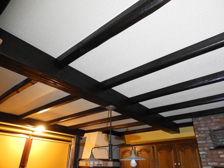 Rustiek Eiken ( Vals ) Plafond, Bricolage & Construction, Bois & Planches, Comme neuf, Poutre, Chêne, Enlèvement