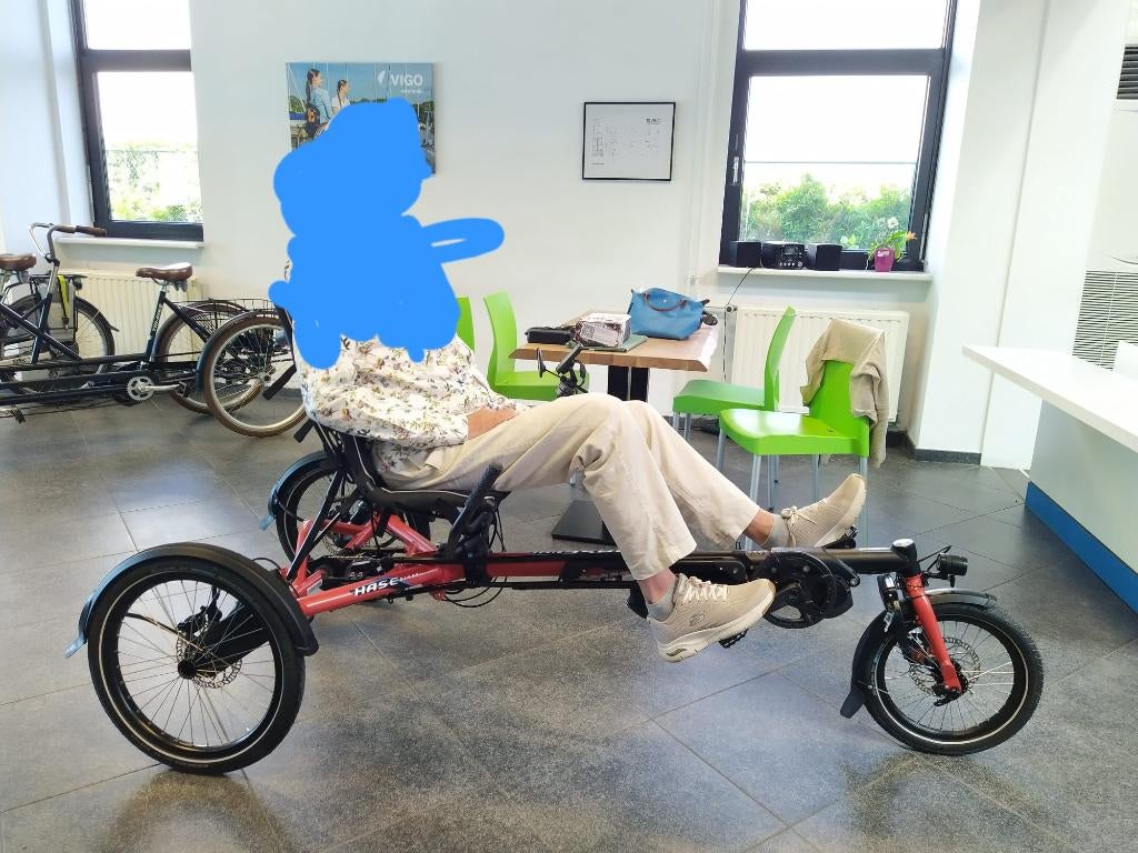 HASE driewielfiets, Fietsen en Brommers, Ophalen