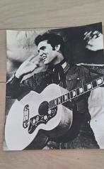Mini poster foto Elvis Presley zwart wit, Ophalen of Verzenden, Zo goed als nieuw, Foto of Kaart
