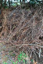 Donne Branches d'arbres, Tuin en Terras, Ophalen