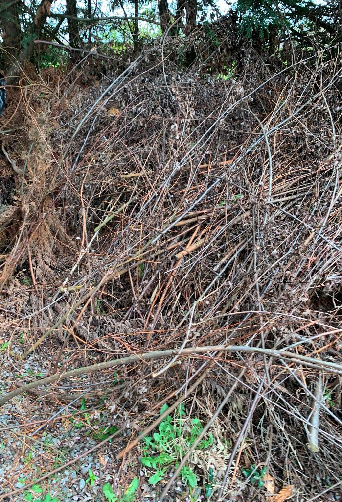 Donne Branches d'arbres, Tuin en Terras, Overige Tuin en Terras, Ophalen
