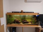 Aquarium juwel, Dieren en Toebehoren, Vissen | Aquaria en Toebehoren, Ophalen, Gebruikt, Gevuld zoetwateraquarium