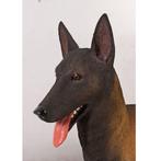 Belgian Malinois beeld – Mechelse Herder Lengte 97 cm, Ophalen, Nieuw